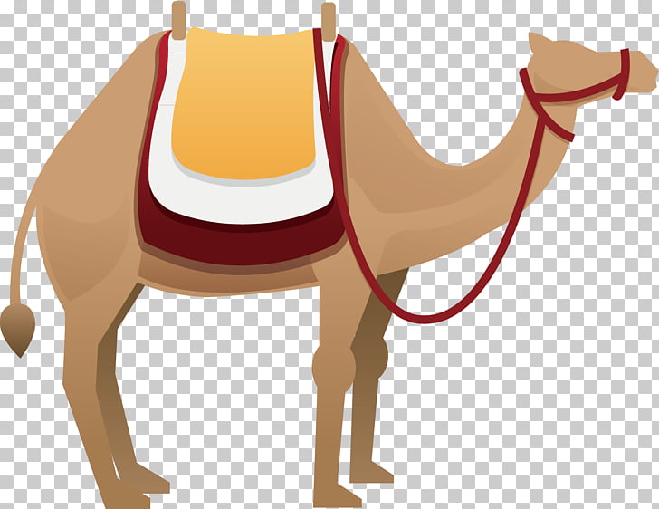 Camel euclidean camel.