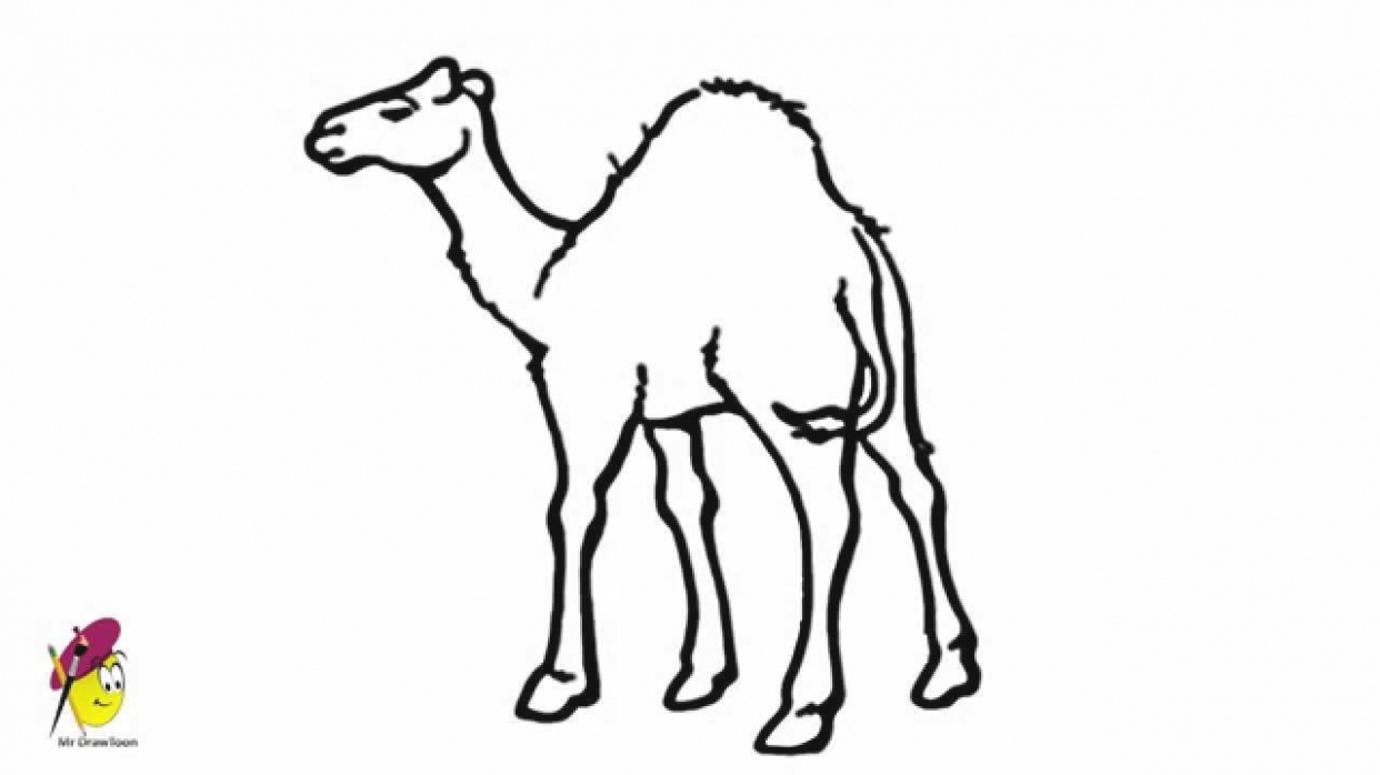 Collection camel clipart.