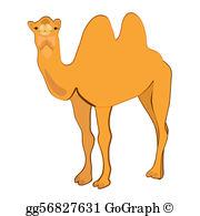 Camel hump clip.
