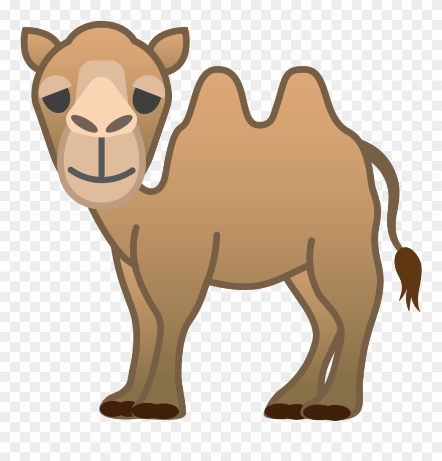 Camel clipart hump.
