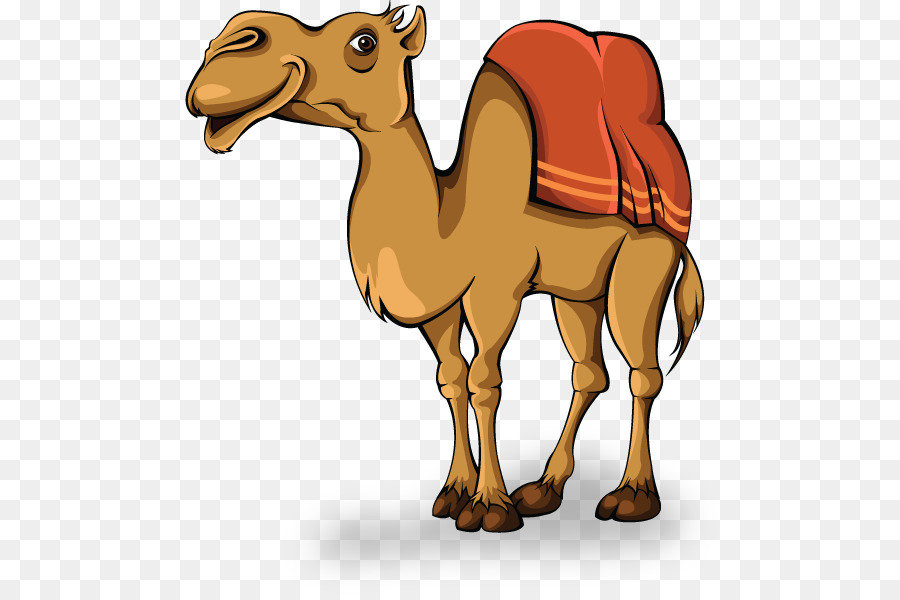 Camel clipart camel.