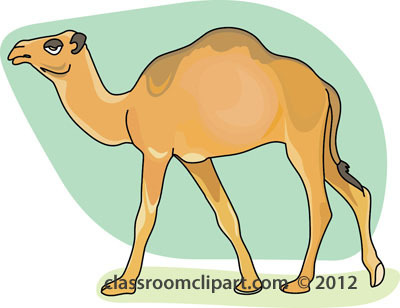 Free camel clipart.