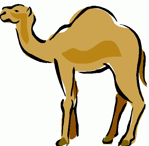 Free camel cliparts.
