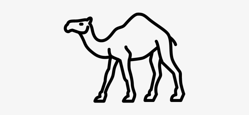Camel drawing outline.