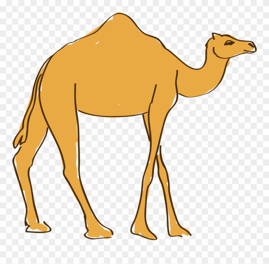 camel clipart realistic