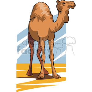 Camel clipart royaltyfree.