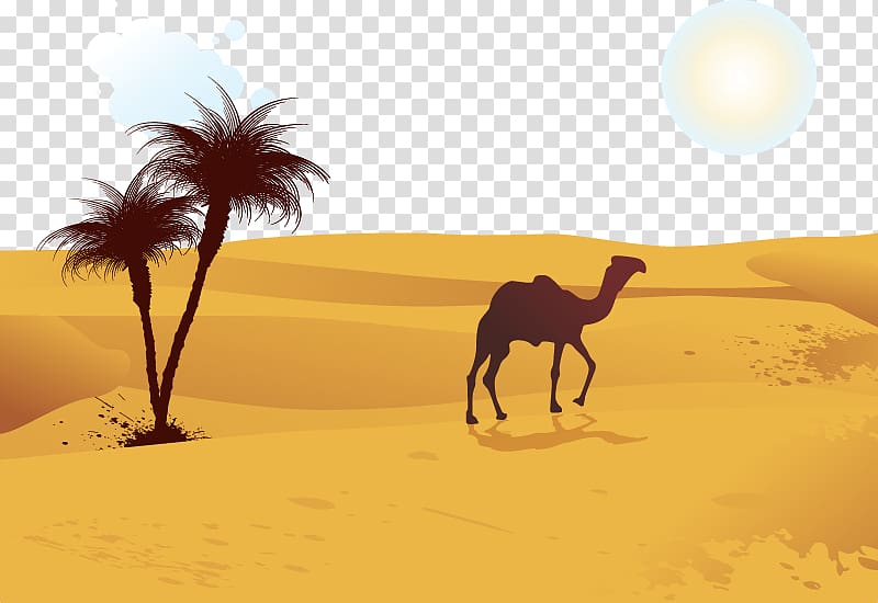 Camel desert illustration.
