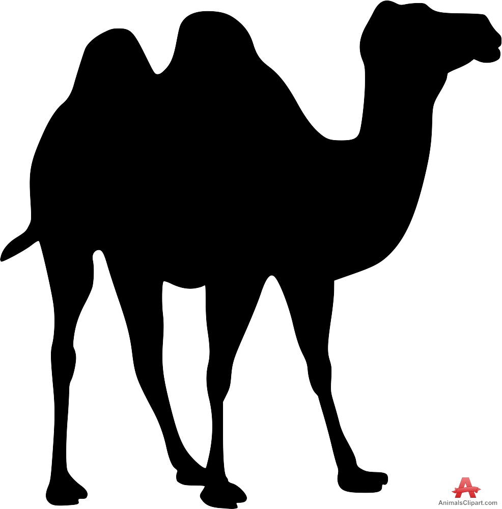 Camel clipart free.