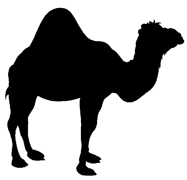 Pin camel ideas.