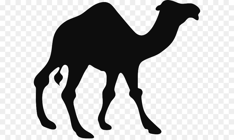 Camel silhouette clipart Bactrian camel Dromedary Clip art