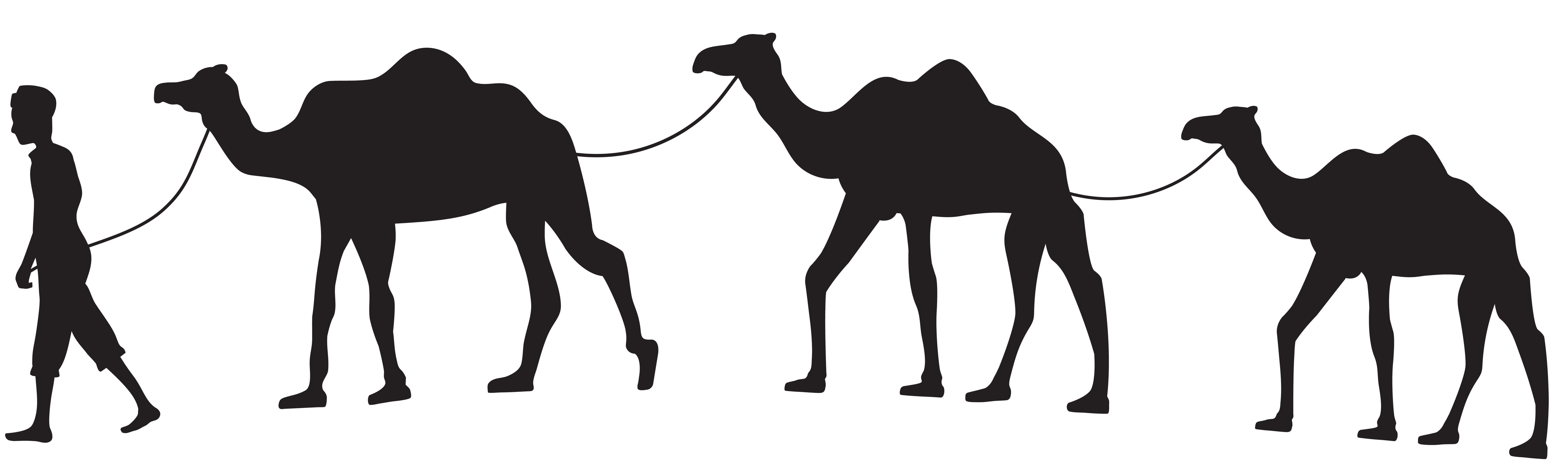 Camel caravan silhouette.