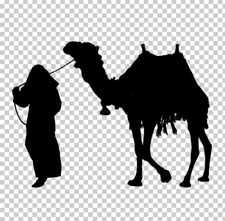 Camel Silhouette PNG, Clipart, Animals, Arabian Camel, Black