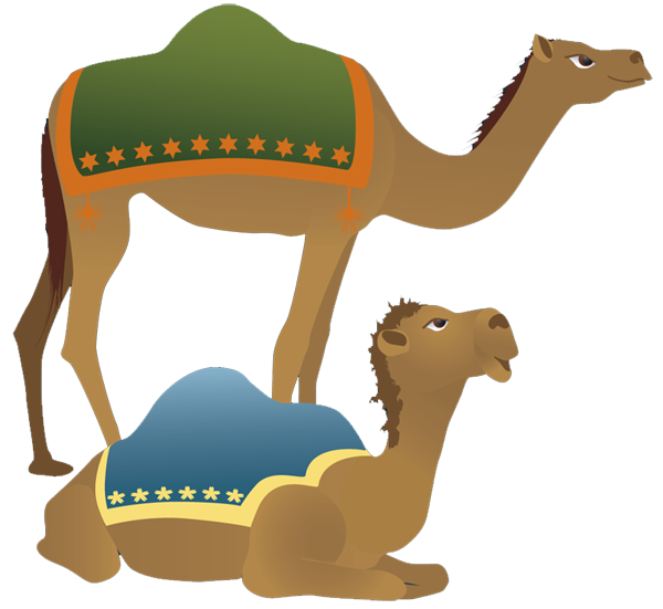 Free camel images.
