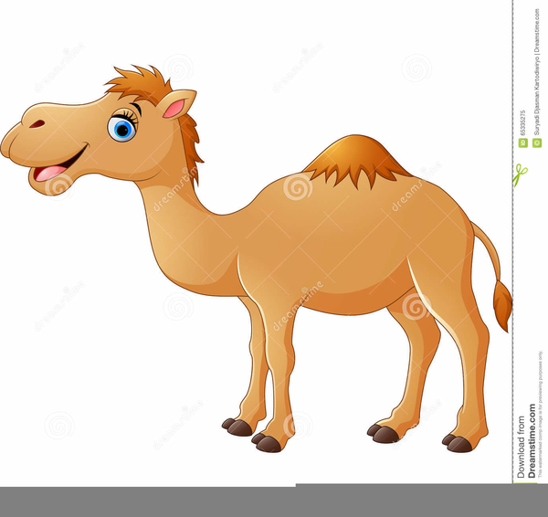 Funny camel clipart.