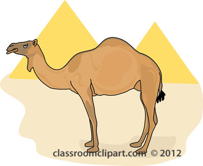 Camel Clipart