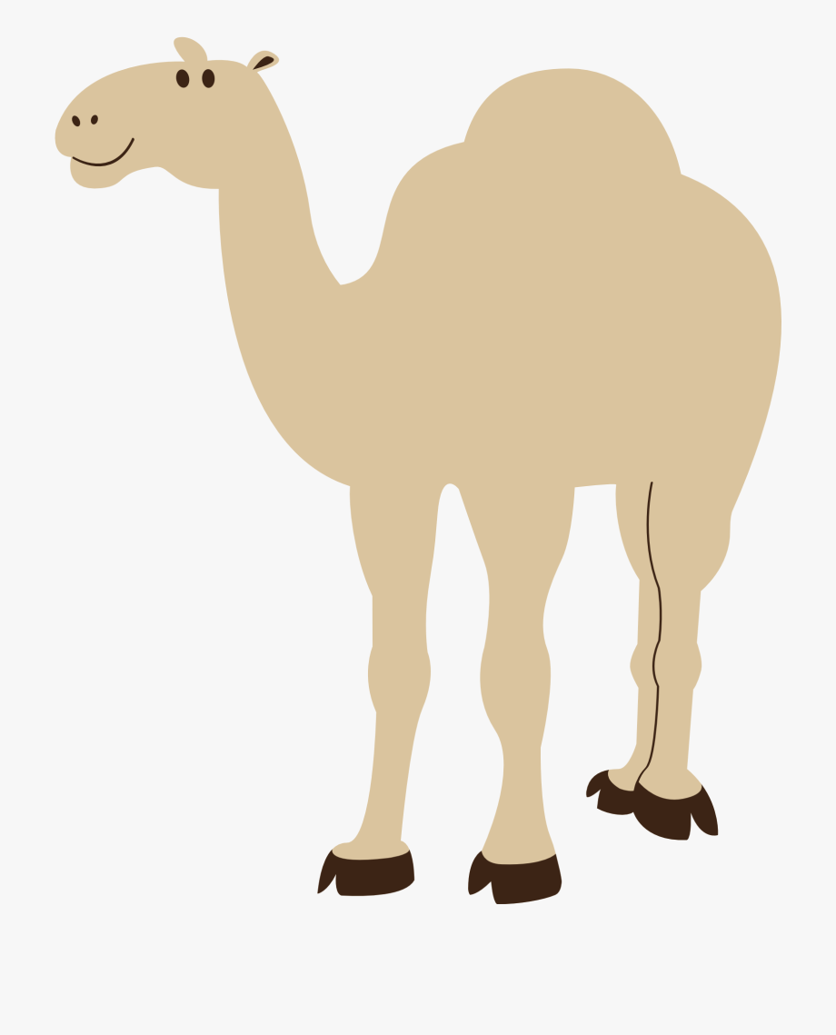 Camel Vector Abstract