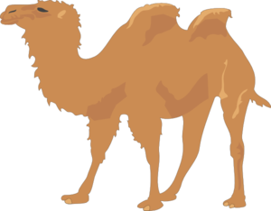 Camel Clip Art at Clker