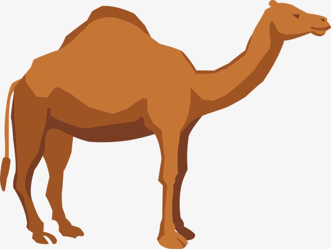 Camel clipart vector.