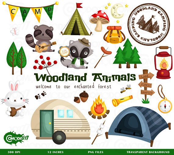 Animal camping clipart.