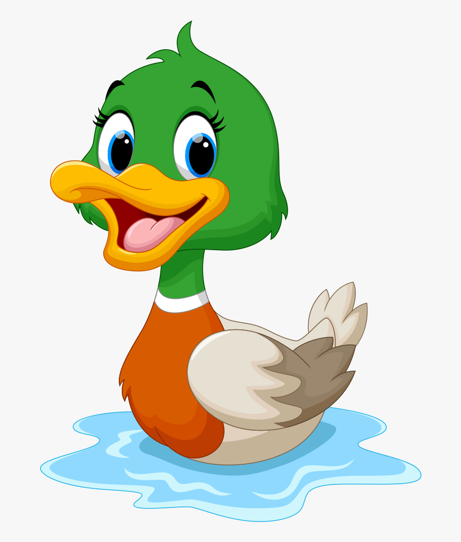 Duck clipart png.