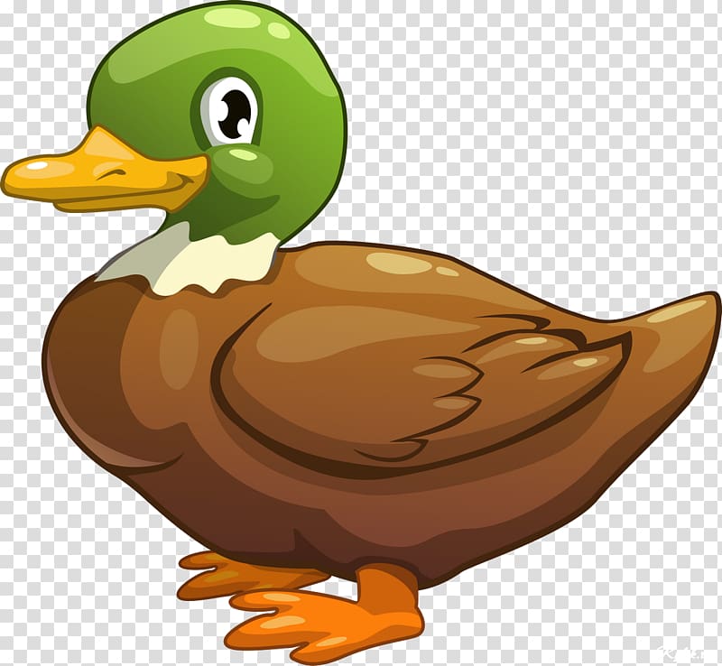 Duck animated cartoon.