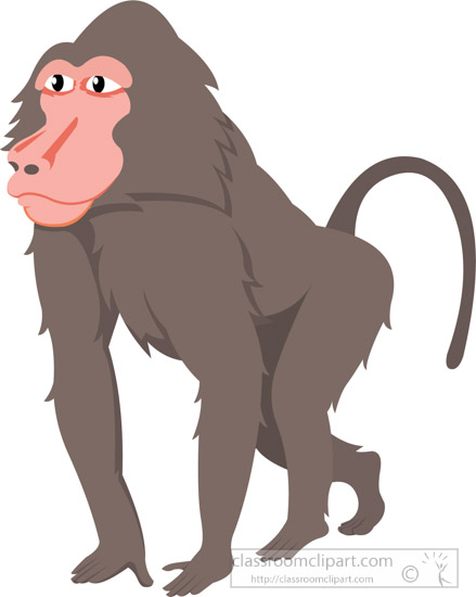 Ape clipart baboon.
