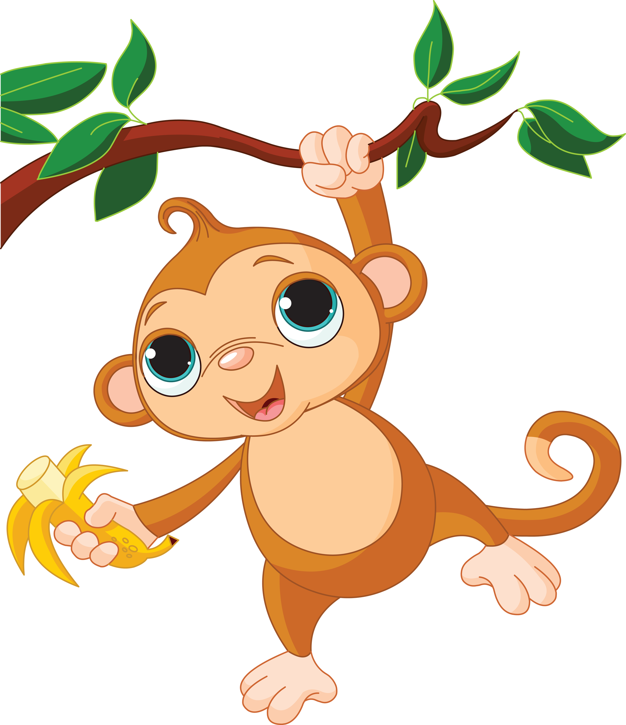 Baby monkeys clip.