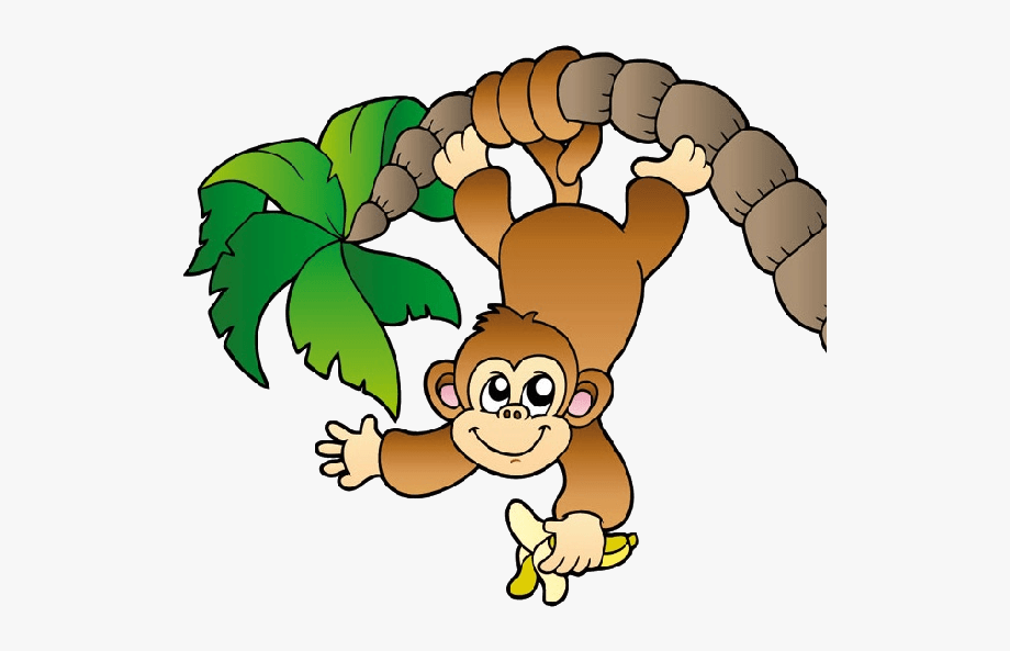 Zoo Monkey Clipart