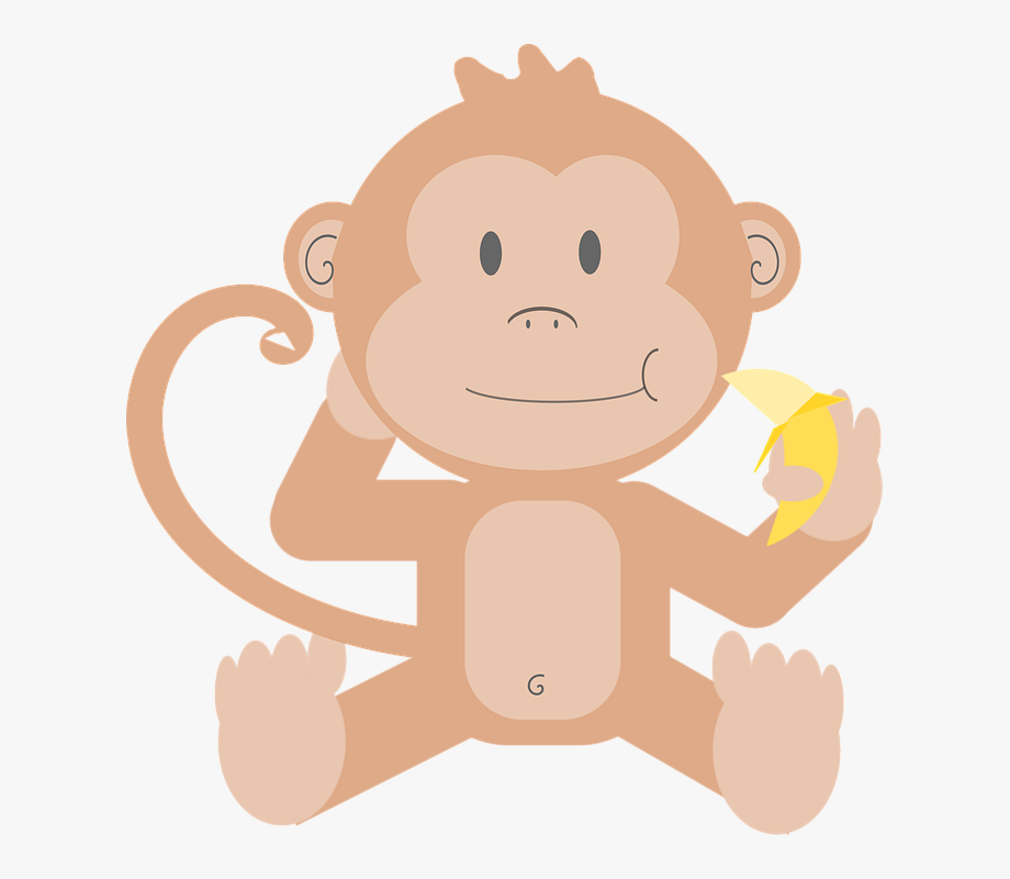 Animal cartoon monkey.