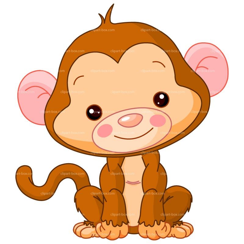 Baby monkey clip.