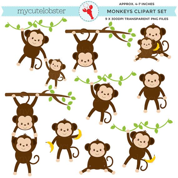 Monkeys clipart set.