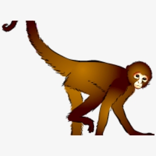 Spider Monkey Clipart Dangling