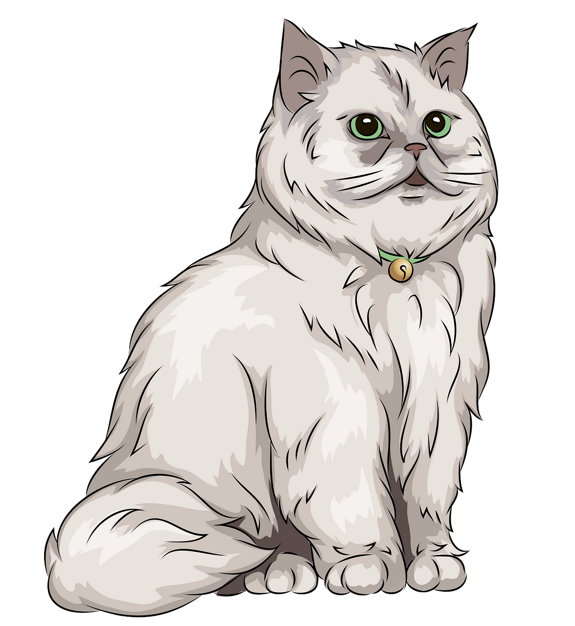 Persian Cat clipart