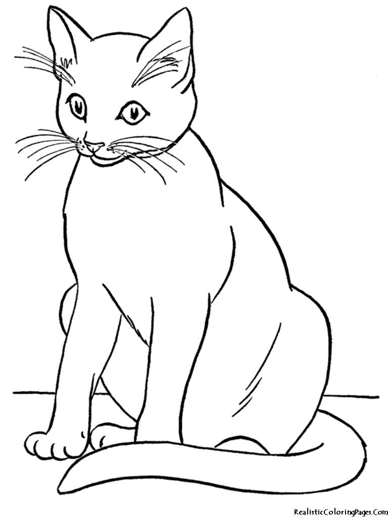 Realistic coloring pages.