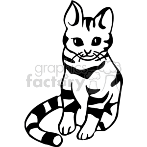 Cute black and white tabby cat clipart