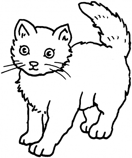 cat clipart printable