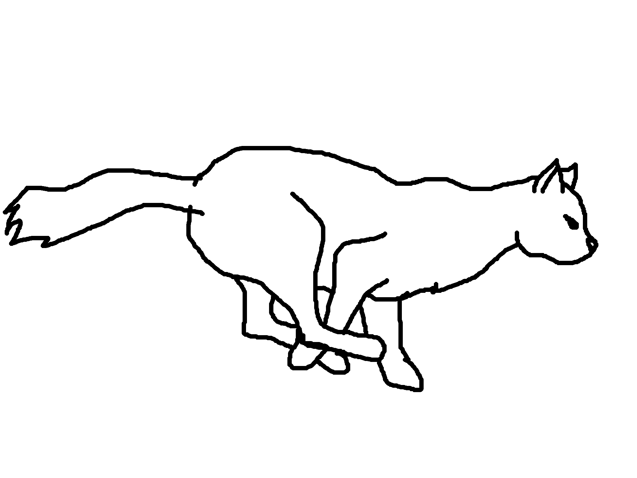 Free Cat Line Art, Download Free Clip Art, Free Clip Art on