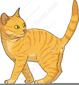Free Clipart Tabby Cat