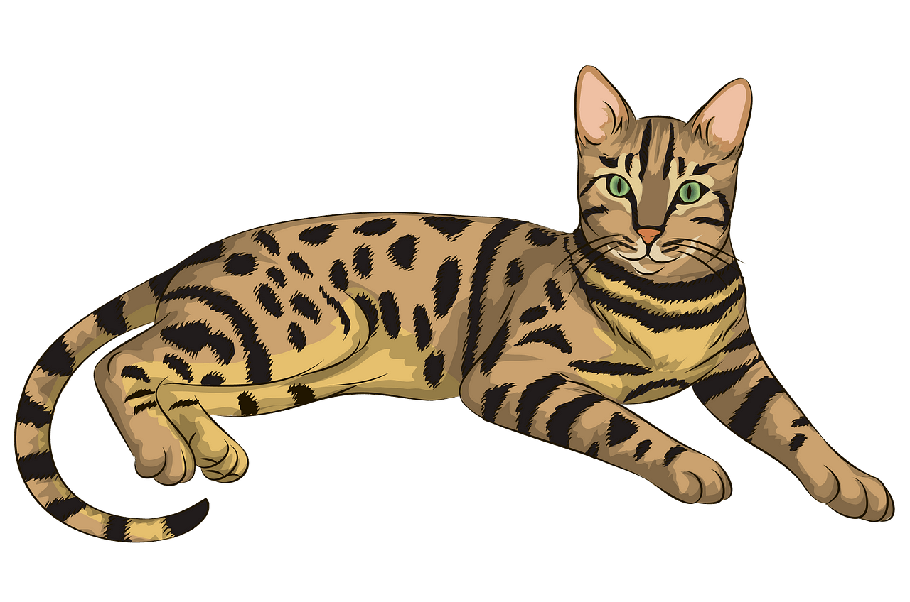 Clipart, cat clipart tabby, tabby, resulution - 1280x848, filesize - 186.45...