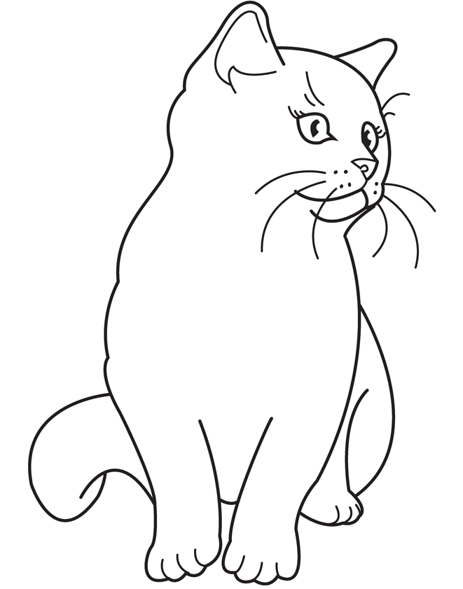 Coloring Book Pages Cats and Kittens