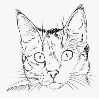 Free Cat Face Black And White Clip Art with No Background