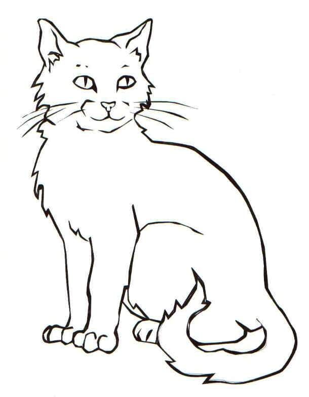 Cute Kitten Coloring Pages Idea