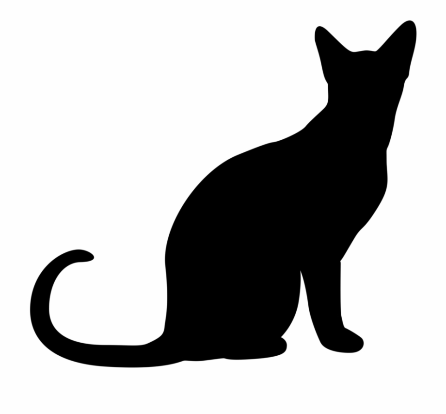 Cat silhouette transparent.