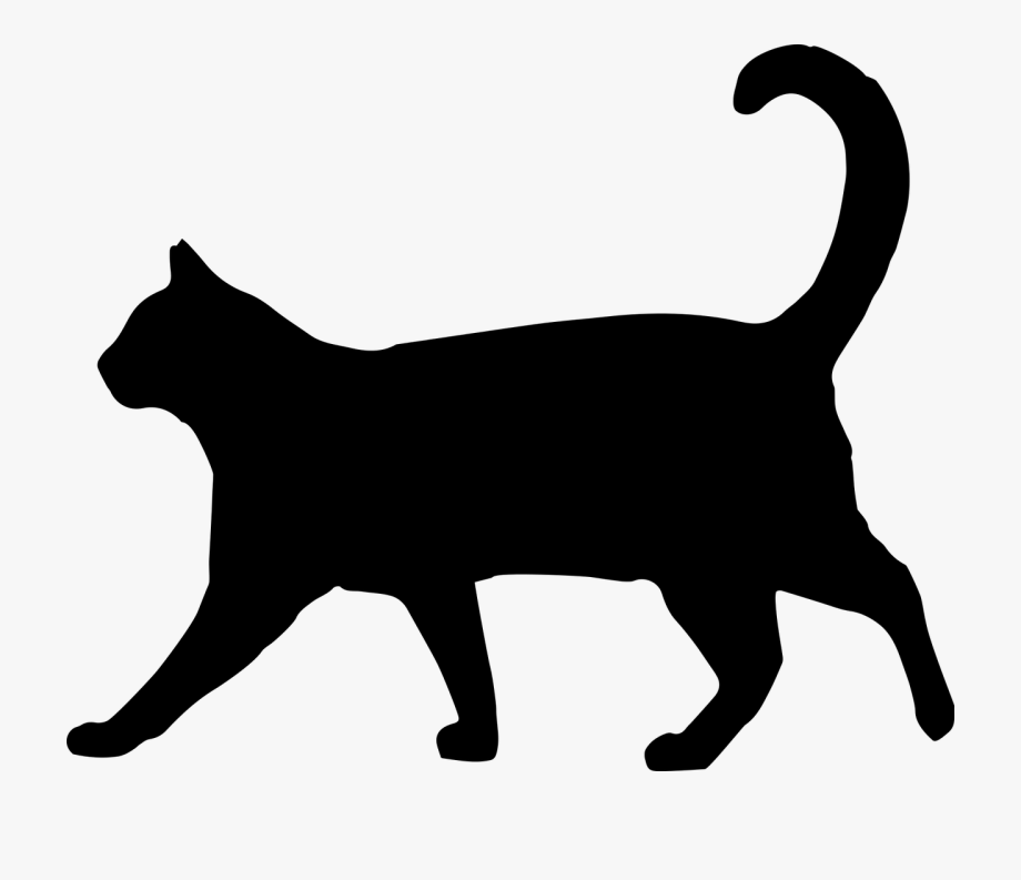 Black cat silhouette.