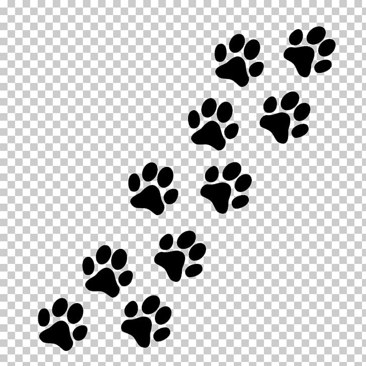 Paw Puppy Cat Pug , foot prints PNG clipart