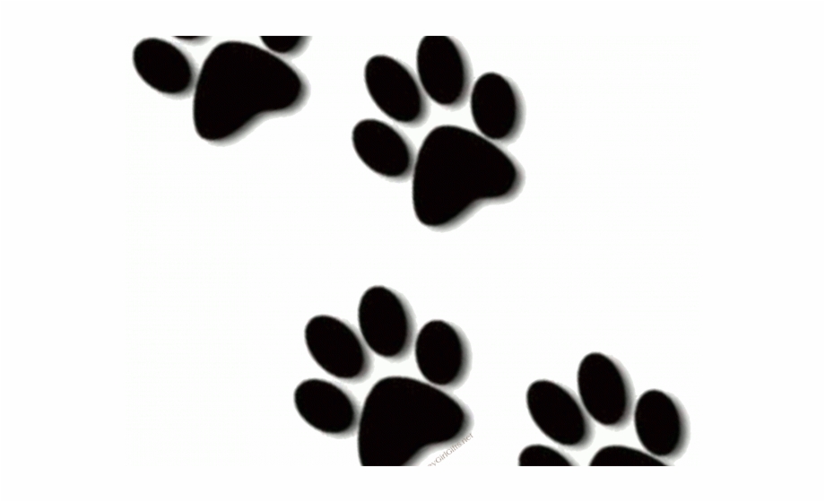 Cat paw print.