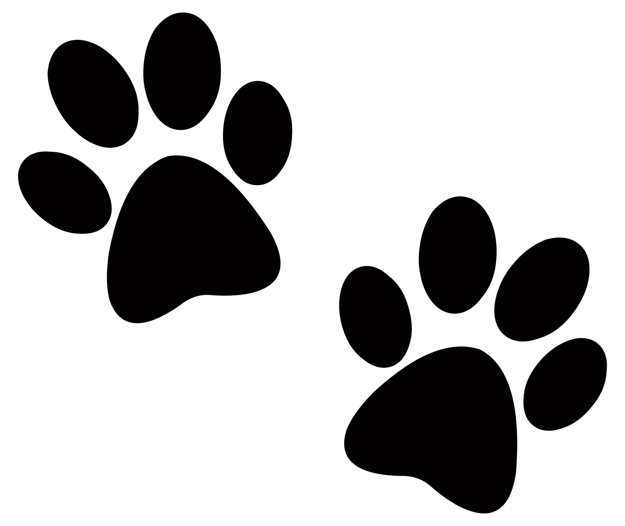 Pictures cat paw.