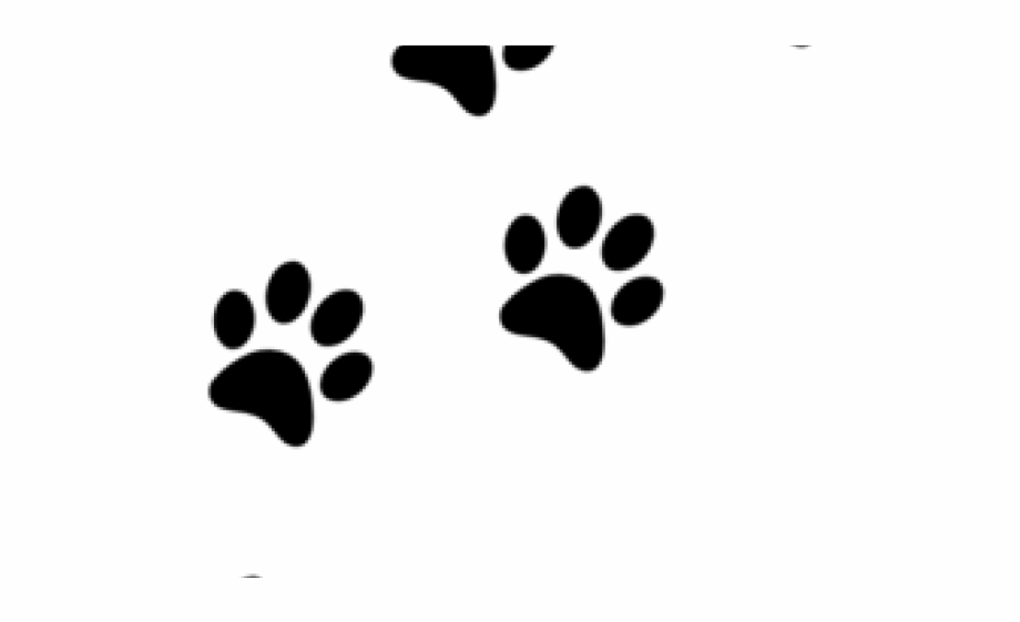 Cat paw print.