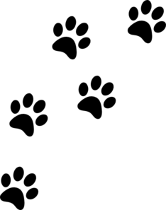 Png cat paw.