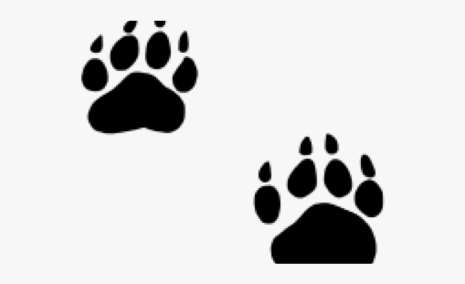 Grizzly clipart bobcat.